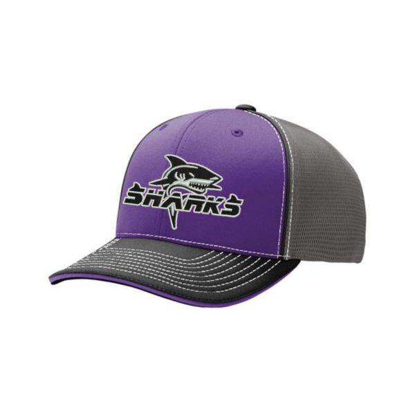 fitted richardson sharks hat